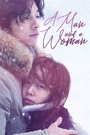 A Man and A Woman (2016) Dual Audio | Hindi Full Movie BluRay 400MB