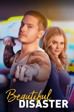 Beautiful Disaster 2023 Dual Audio HDRip | Hindi Full Movie – 480p