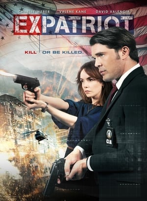 ExPatriot 2017 Dual Audio | Hindi Full Movie BluRay [870MB]