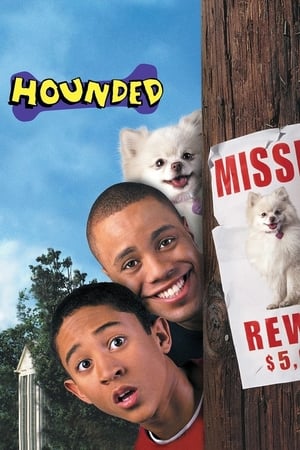 Hounded 2001 Dual Audio | Hindi Full Movie BluRay [1.1GB]