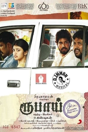 Rubaai (2017) Dual Audio | Hindi Full Movie UnCut HDRip [1.5GB]