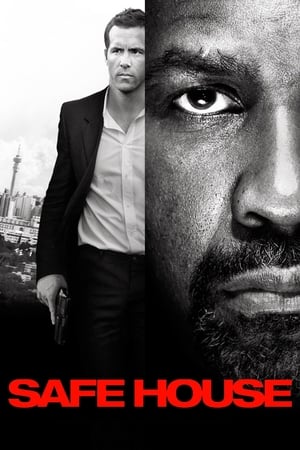 Safe House (2012) Dual Audio HDRip | Hindi Full Movie – 480p