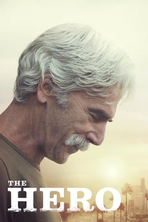 The Hero (2017) Movie | Hindi Full Movie HDRip x264 [840MB]